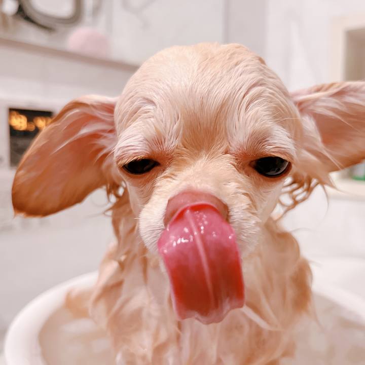 895771e9 c66c 4dd5 b7c3 2eb164959be0 1653894246150