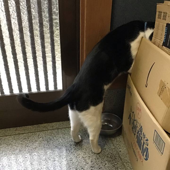 8957c525 2f6a 4226 800d ce0eb6cb81a0 1678357269932