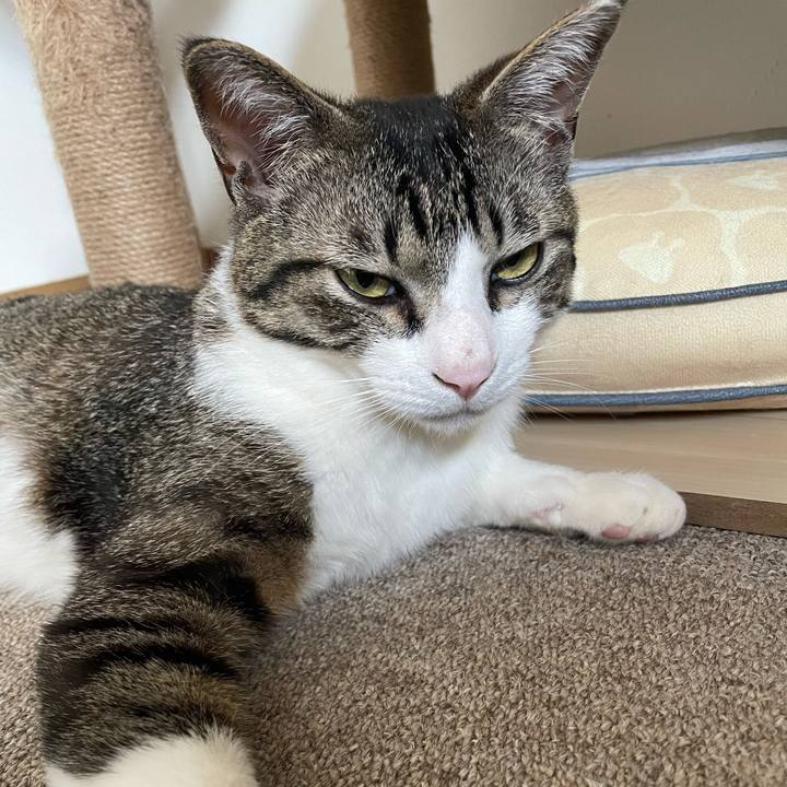 8957e460 c148 4085 bb6d 426cb16b57e9 1746425080861