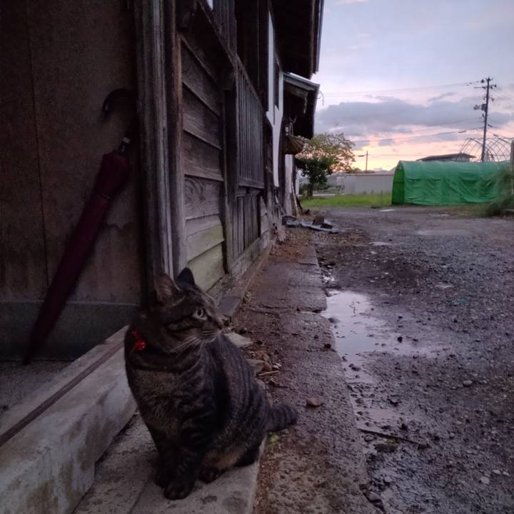 89581a9b 138a 4ac6 a39b 92a4a66395cf 1663621457687