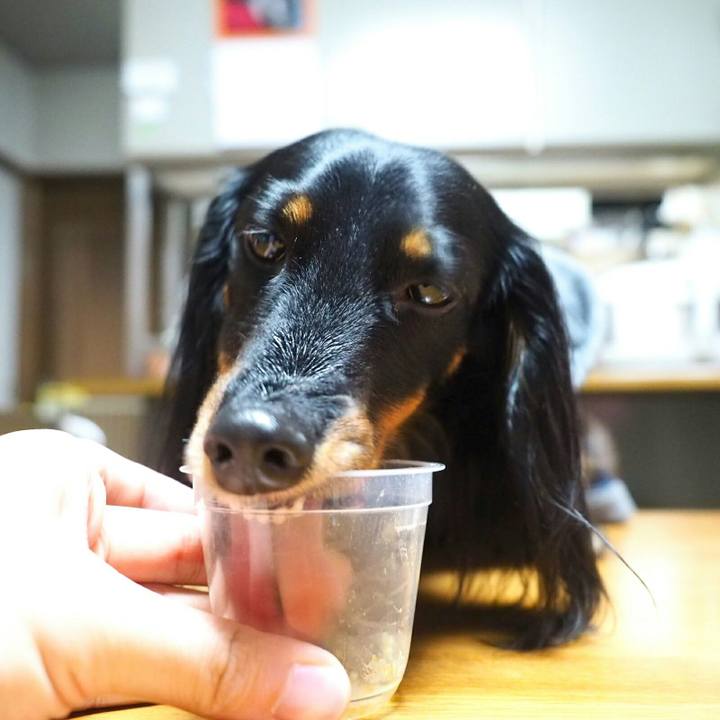 895840ec 2a71 431b 8922 45b9221aaa01 1518692914279