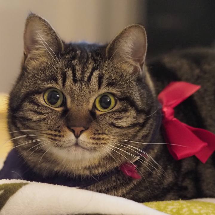 89586682 1226 4d0c aa41 075647b7f1a4 1614526247183