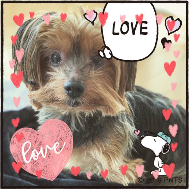 895875c8 384e 4a96 9591 f5066470b643 1581647089548