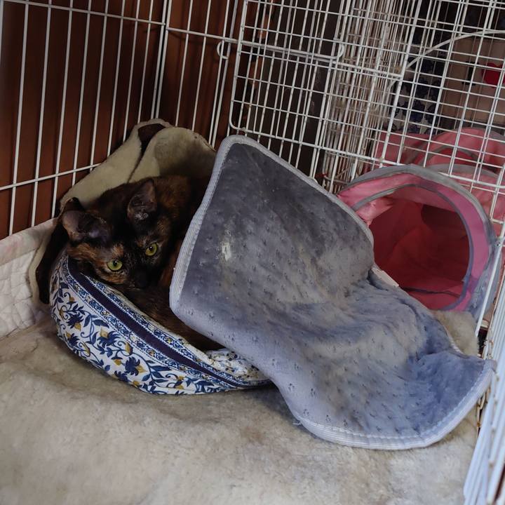 89588a37 be02 40e9 8839 ff6e0aaca204 1646368946257