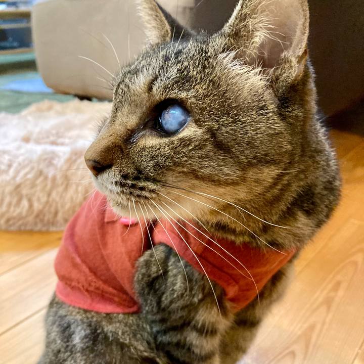 8958e045 02f7 44d9 8a13 9b0c1b739153 1681464668732