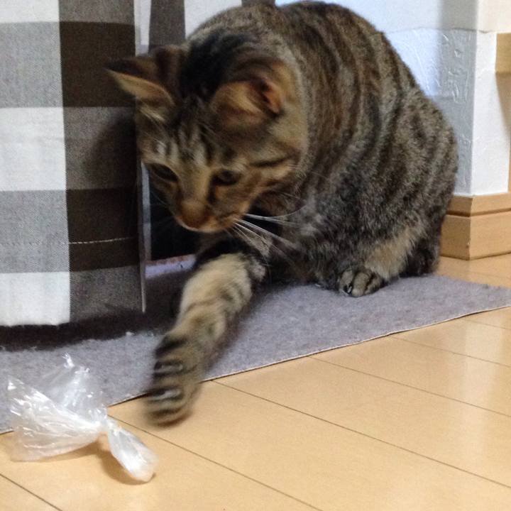 8958e457 2323 4082 85ec 75c0d40a8095 1510657205426