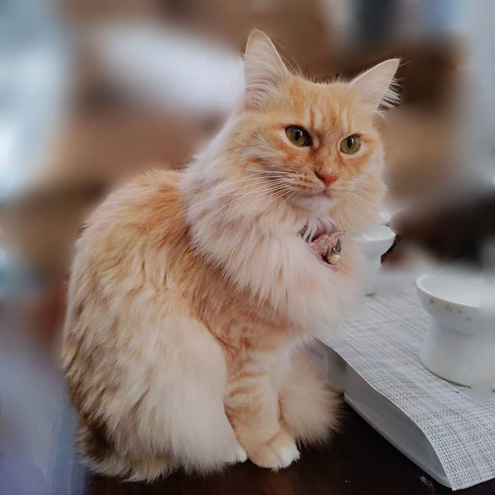 8959107e a4dd 4bed ad4b 7b07d0df12f9 1673068771709