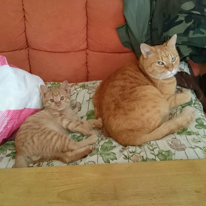 89591f94 3e0e 4f05 bdd3 fd45a5706a45 1541725411356