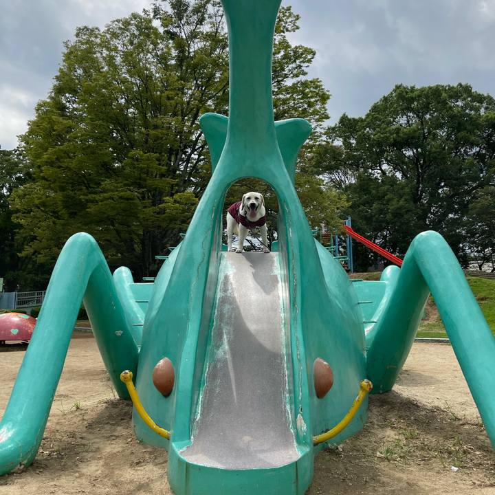 89591fff 9dee 44ba 9c19 da6a80cbe3ca 1631051716750