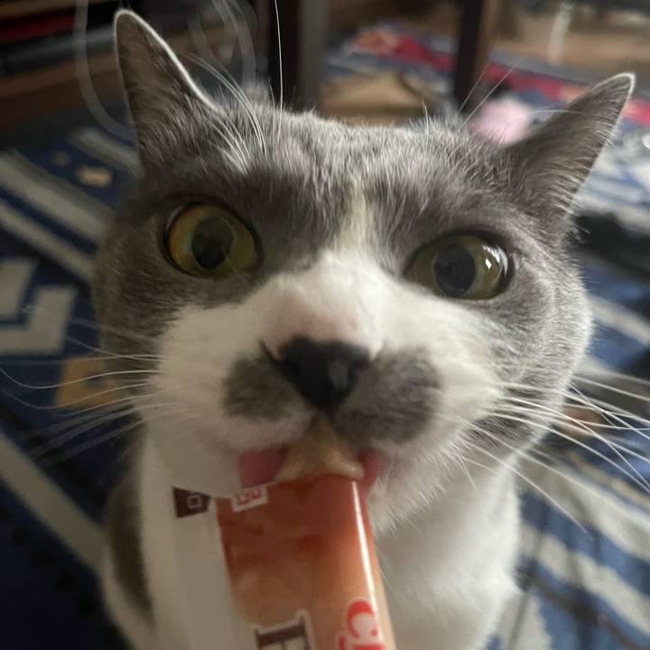 895931a4 cb75 494f b339 863ec6c1d658 1683881702729