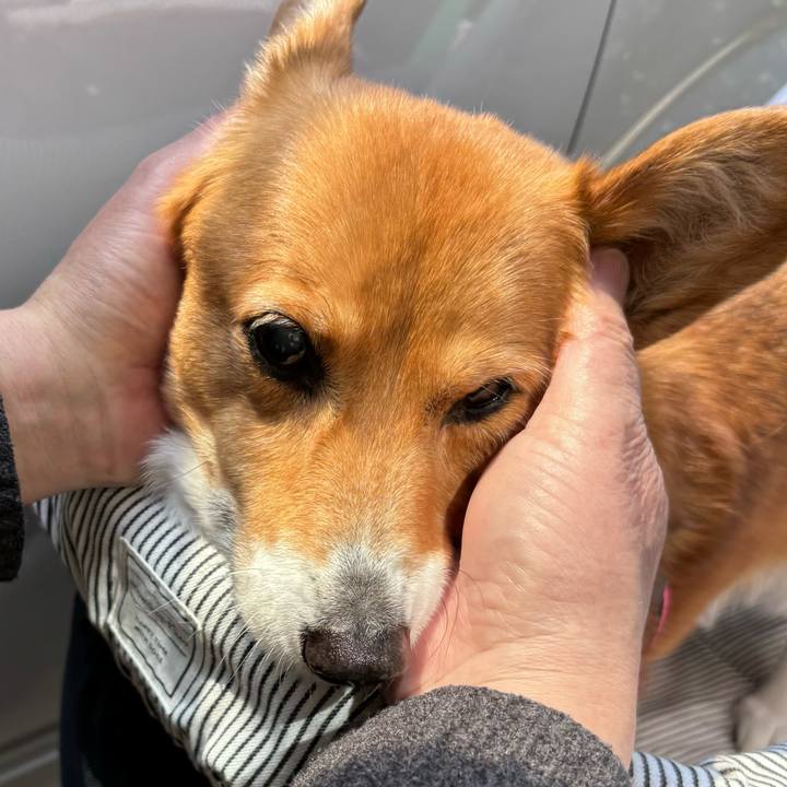 895932bd f272 4ba9 80bc 36412d6028a5 1743304553383