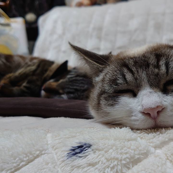 895986fb 75a6 4a0f 83c1 30a6fb054b20 1676111561748