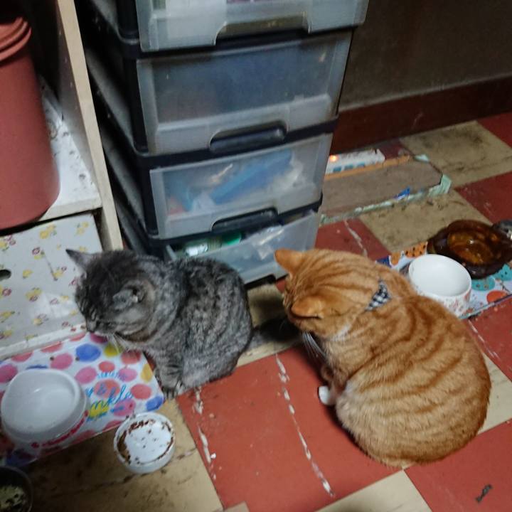 8959a3c3 2e59 4921 8ac6 66dd9847b31e 1574541473211