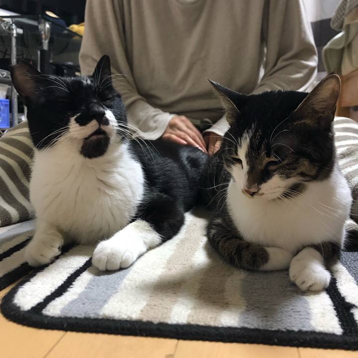 8959d138 3ed9 4fb2 b451 02b2a695fb80 1605562460961