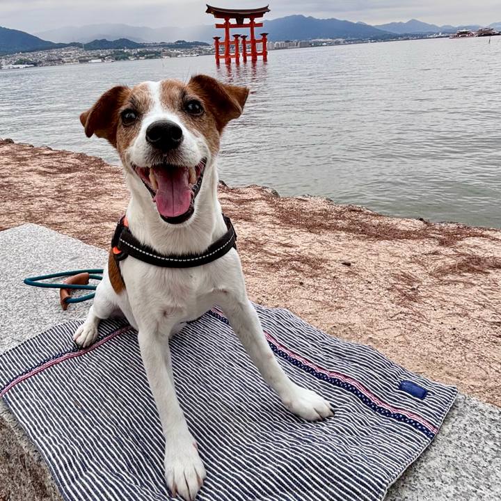 895a4280 bded 489b b3ce f53bc441aeee 1758628135705