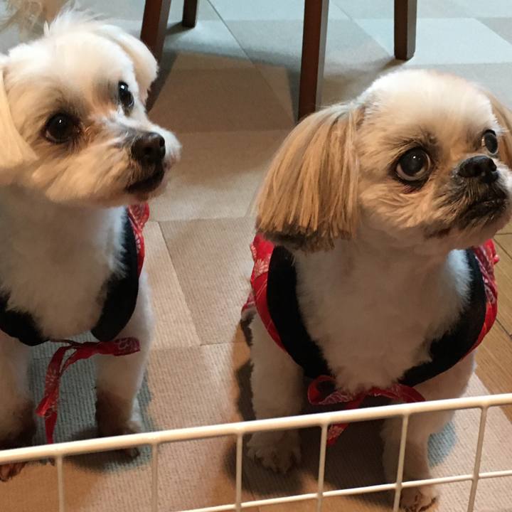 895a58a6 1616 41d9 bd4e 43a1450e2336 1644059914019