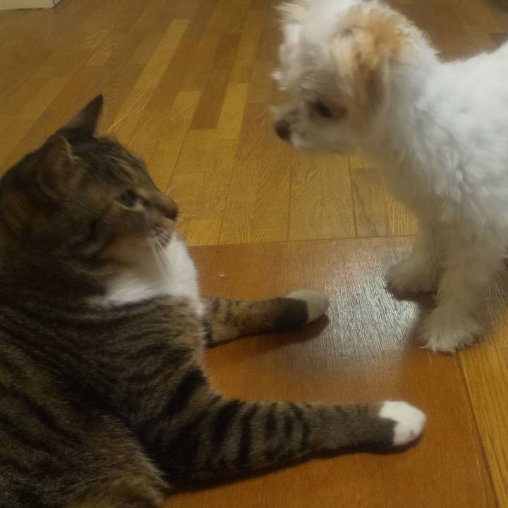 895a7c76 150f 4fc6 849e f64c8e69f853 1692020439381