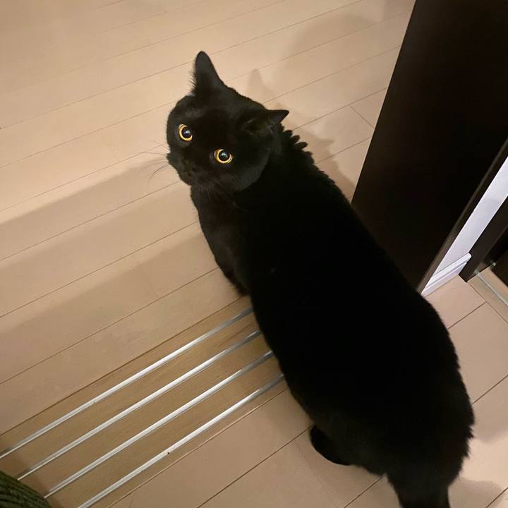 895aa64d 62e3 44e6 bb93 5a68df127f36 1705583955706