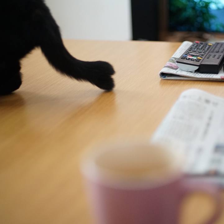 895ab0f3 e8a1 4673 9137 54ec3f26bf4a 1528415558735