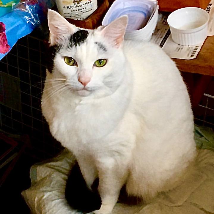 895b1c02 ba14 4df6 aec4 befb9f14fdef 1575440958249