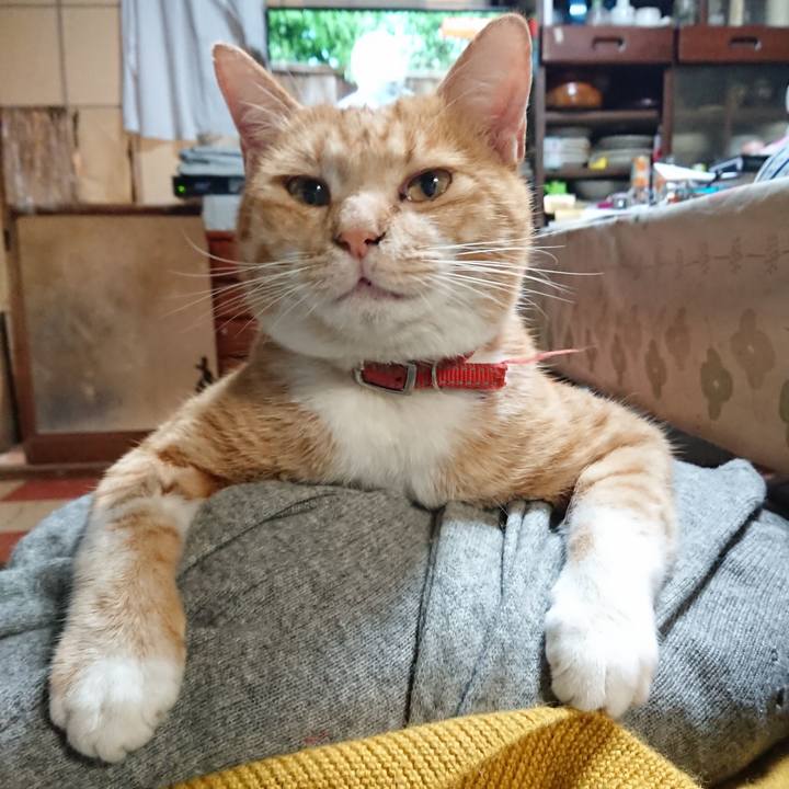 895b33f1 5e3f 4c25 9b86 56f6a212a1c2 1572004140544