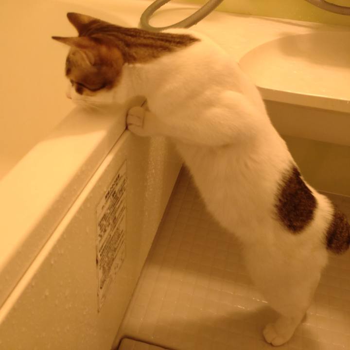 895b5ddc 37df 45f2 8110 1ca80d1e3634 1651569210493