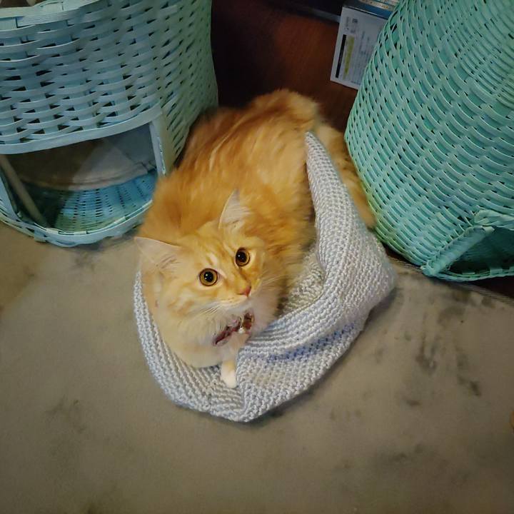 895b6e8d 0002 44f9 9f73 202b38d8fc56 1664541668735