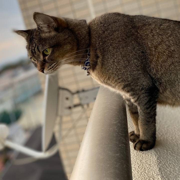 895b8b82 1bc0 4520 b3ed 336321b71dec 1573371798437