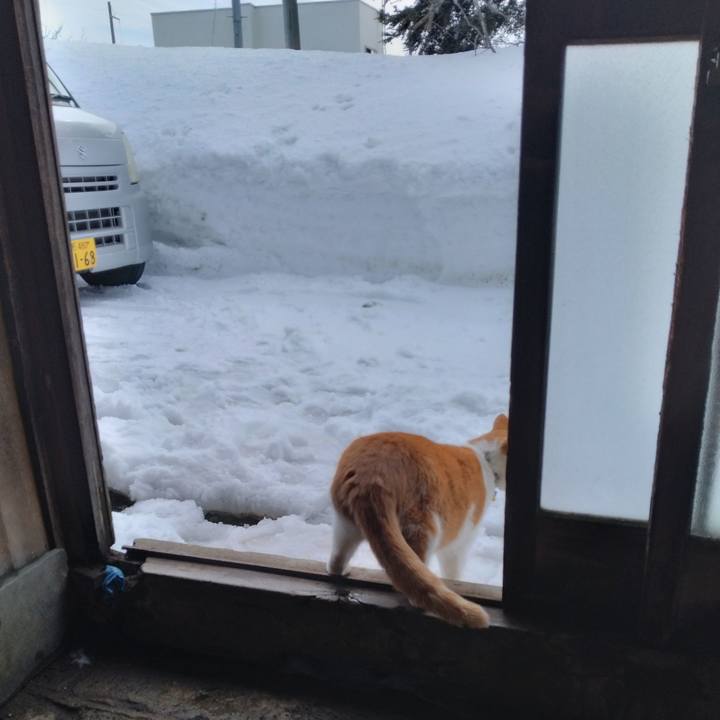 895b9c8d 9b4f 41b8 b788 1c78c549a68e 1770711067654