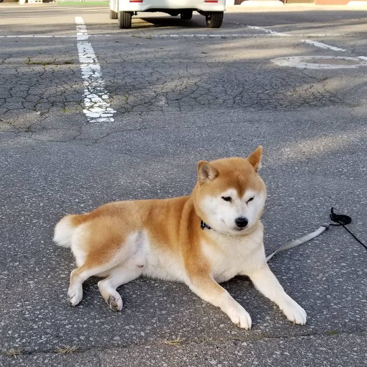 895ba08a eef9 4f31 bd5b d3f058838ab9 1573021687931