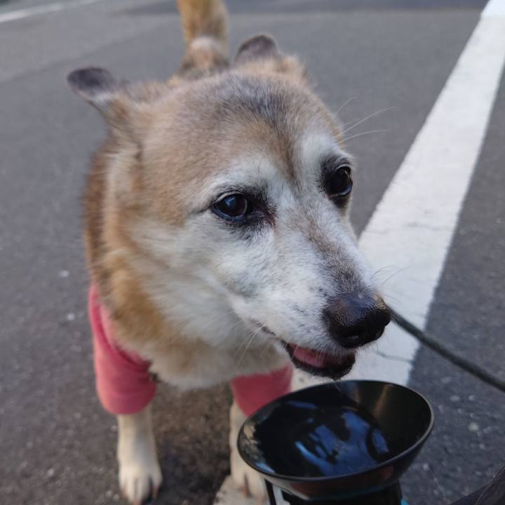 895bcff7 a1d9 4d9e 880a f0b6e897040f 1709963304515