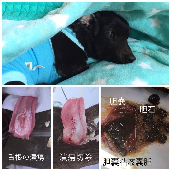 895c1c3a 03ac 4915 8b8b d739e2220bf6 1551014104531