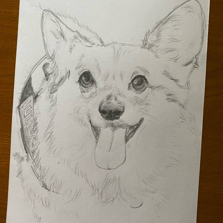 895c26db 8e9d 4f7a a778 42927b668bf7 1621228948472