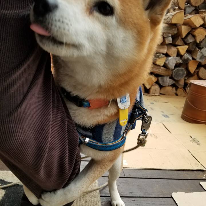 895c4212 8af5 4d40 ab23 8ccc4e687569 1549518179457