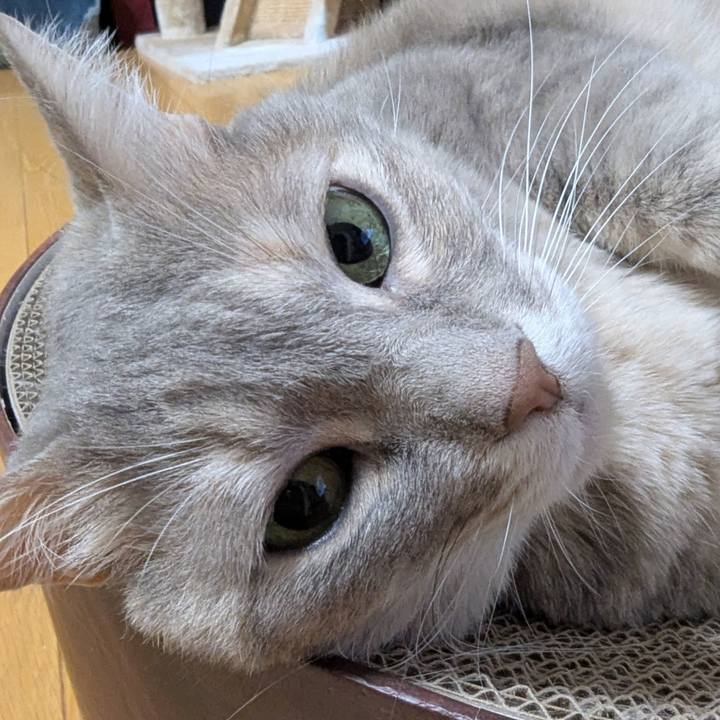 895c823e c021 4777 aa48 6759504c429a 1768299394348