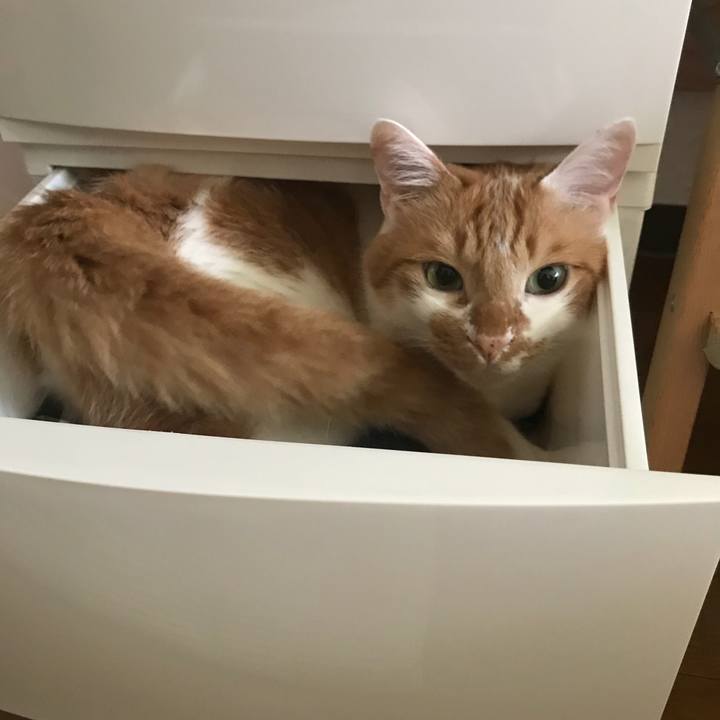 895c9f1d d886 4fe3 a9ac 121b6bf3ab79 1532481529116