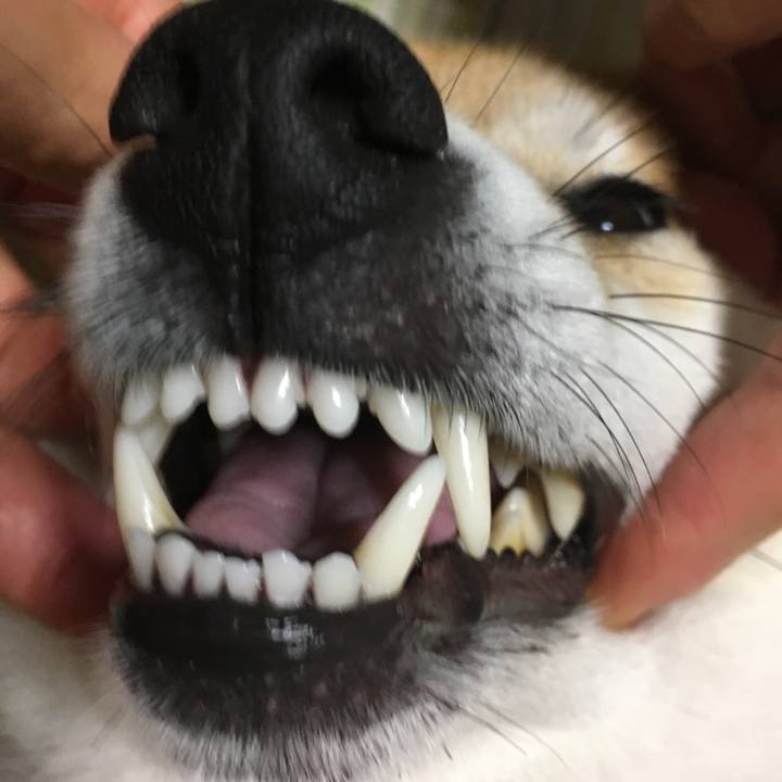 895ca4d8 094a 492f 86c2 469e80ae8082 1529841621876