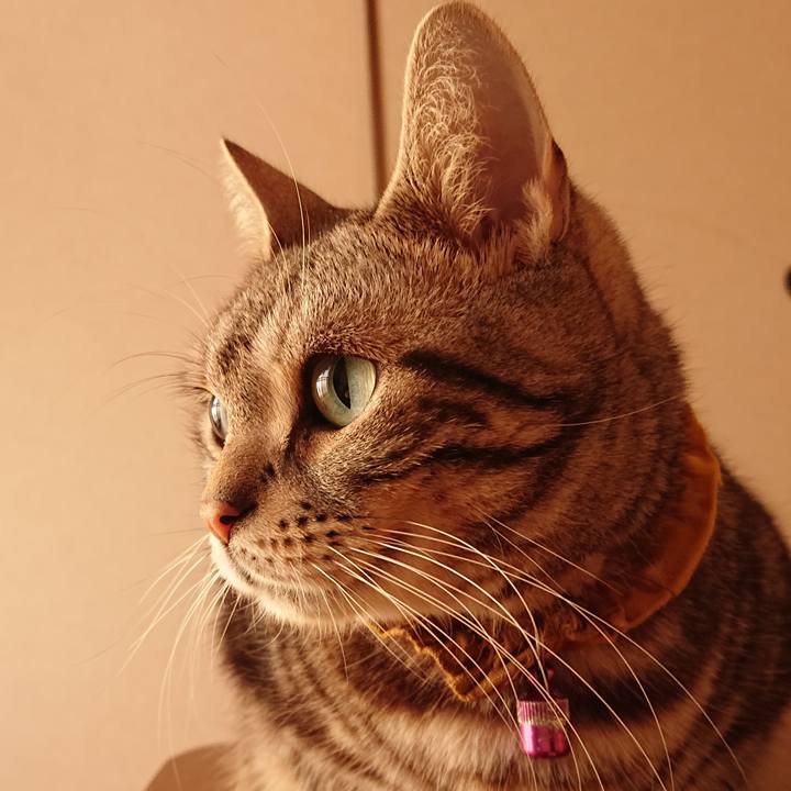 895cbc70 96a4 40e7 945c bf037d93677d 1545291064674