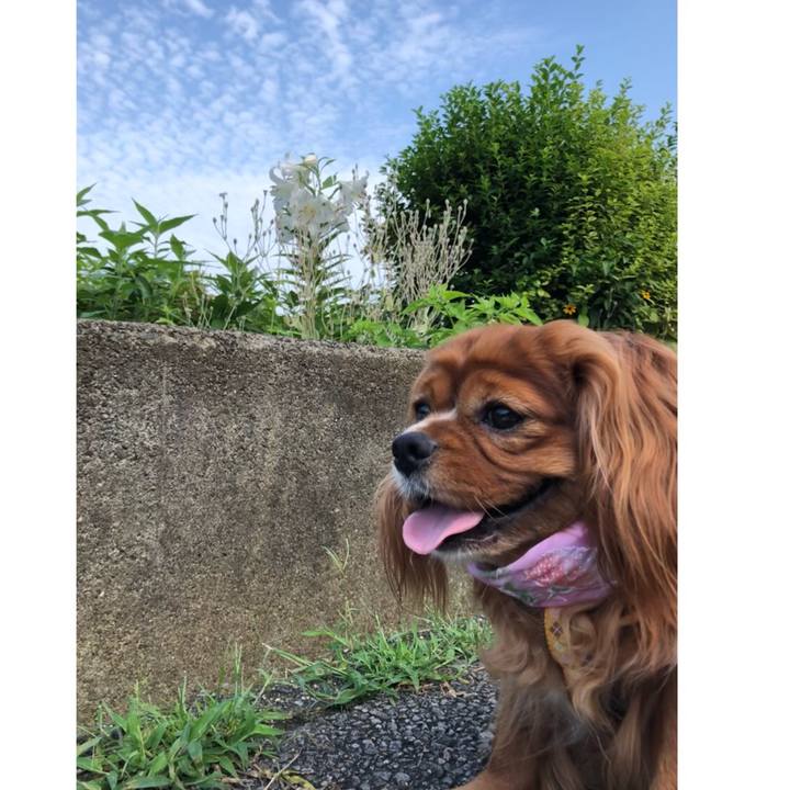 895cd6ab 1cda 4029 8ffc bb35b2c4e6b0 1625963352504