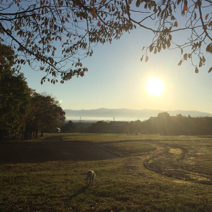 895d135e ee2e 484d a8a1 cab3694b61e6 1548330398341