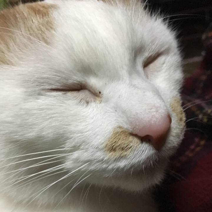 895d16e8 3328 468e 9399 7f8da189c53b 1521645071025