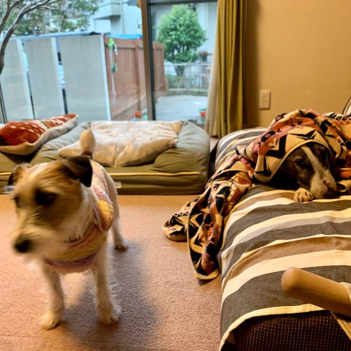 895d2786 b7b0 4cf4 8e30 65423ae29427 1611380247979