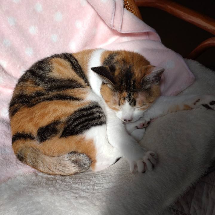 895d4024 ba2e 430e a81f 3cab670e8305 1632451252593