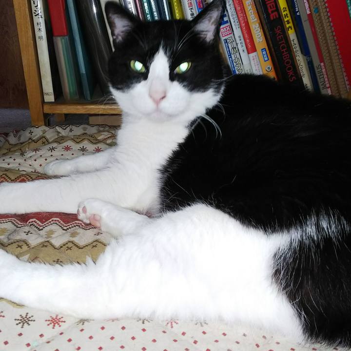 895d7fbb dc4d 4ecc 8b38 1375ae7d7820 1526507270984