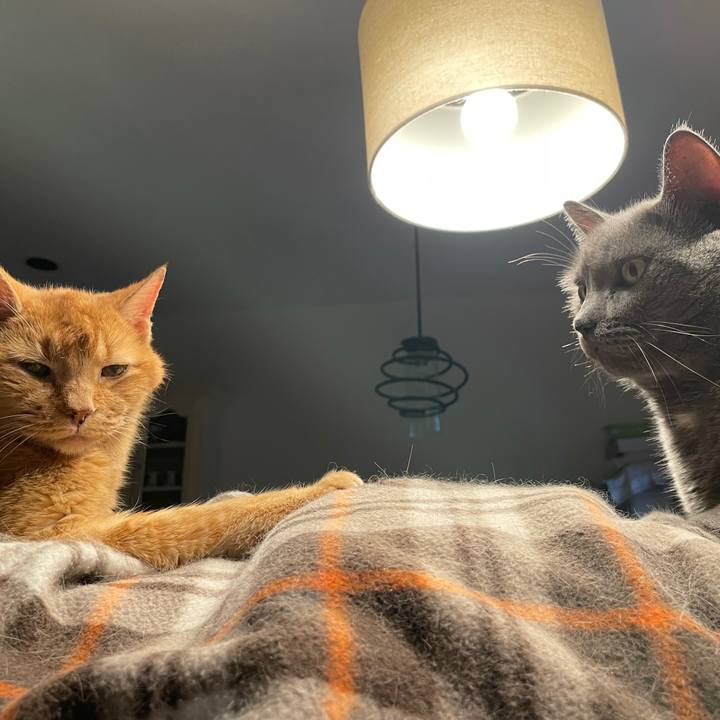 895d99dd 30bc 49ed baf5 502f691eb54f 1769544287117