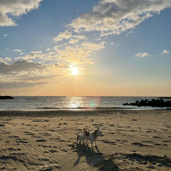 895da9fb 441d 41f3 83e3 c14462efc40d 1619344214679