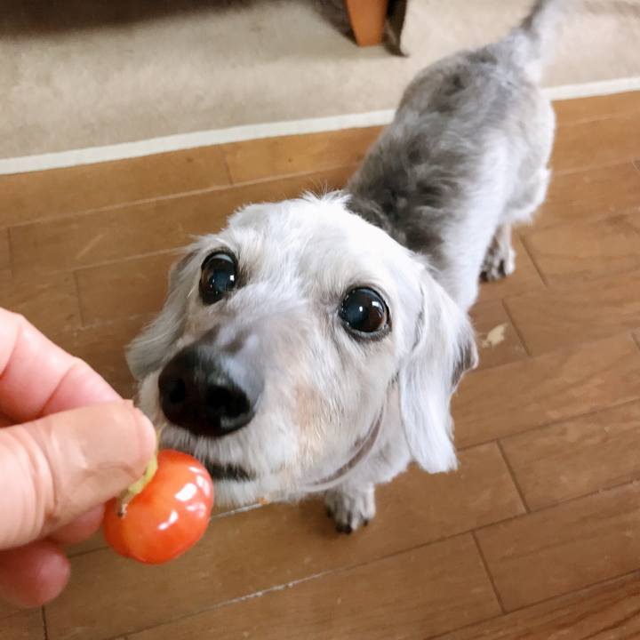 895dab75 dcbf 4636 ae96 977eb71b63ee 1532388701678