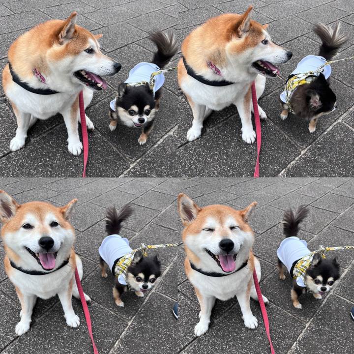 895dac83 ef6c 4977 9e97 b603ab2f7797 1693216642272