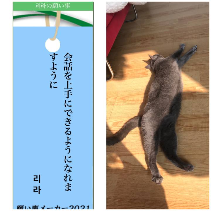 895dcaa3 f2ee 4499 9471 bd9f360675a1 1625729425286