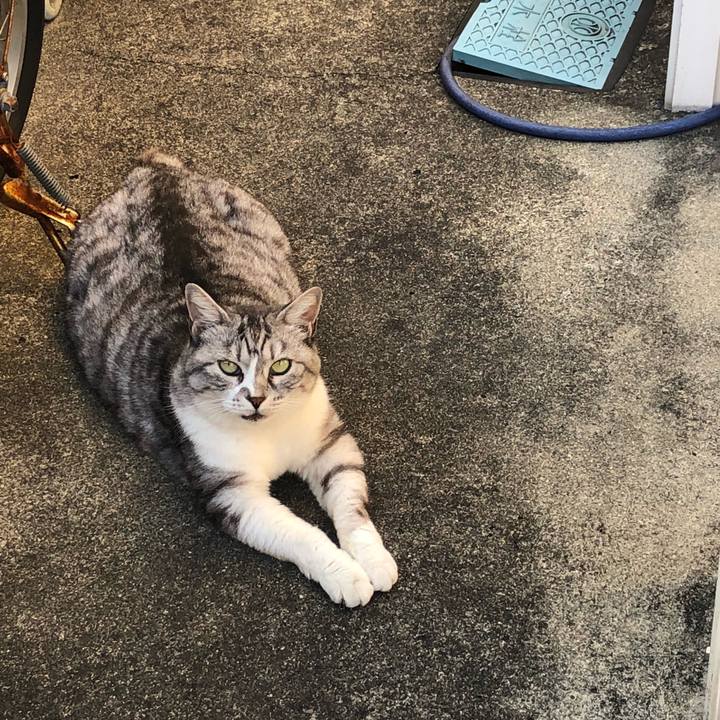 895e1593 4359 4720 af66 50da8adfb62c 1538832480181